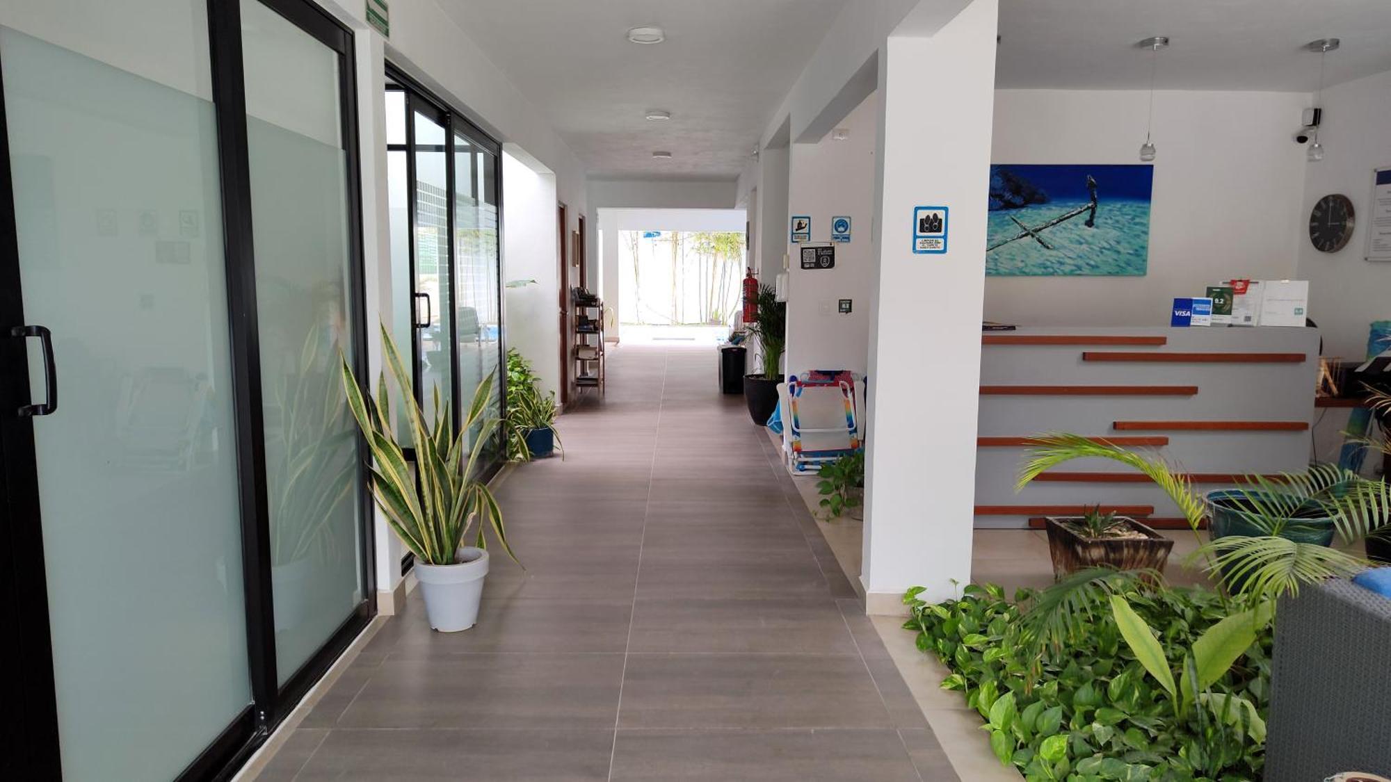 Vela'S Condos Ocean Front Puerto Morelos Dış mekan fotoğraf
